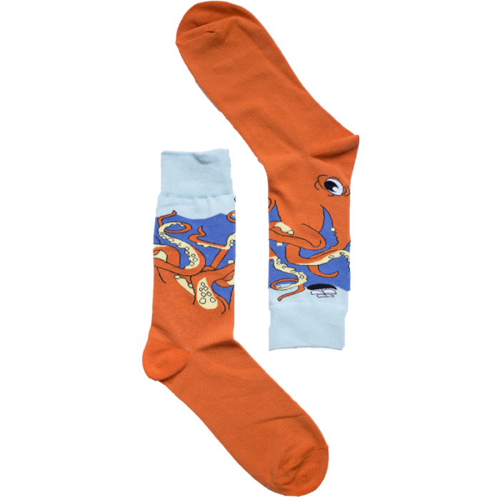 Octopus Oddities Socks